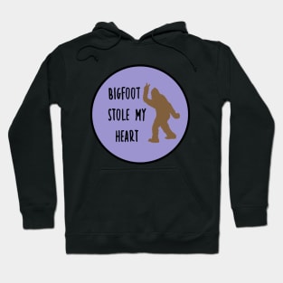 Bigfoot Stole My Pancreas Purple Hoodie